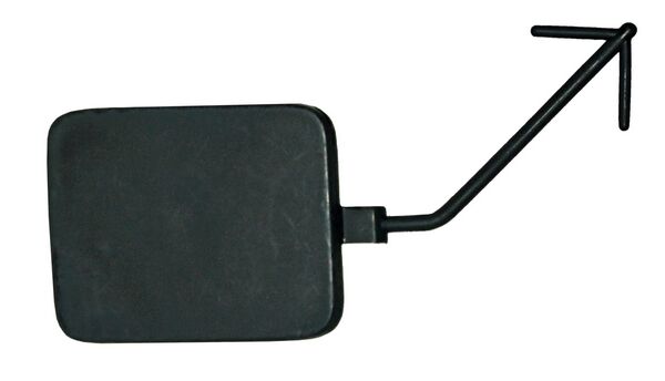 TAPA DEFENSA DEL LEON 06-13 288 537 *****2