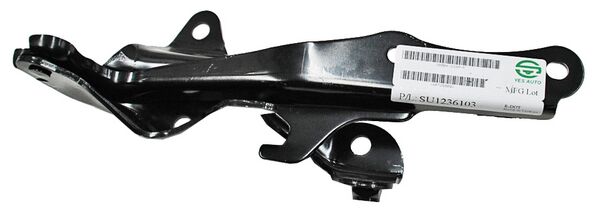 BISAGRA COFRE EURO CLIO 07-09 DER BBBB