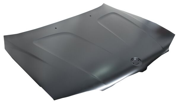 COFRE BMW X3 05-10 ***** FN31.03