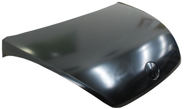 COFRE BEETLE 12-19 CK RVR